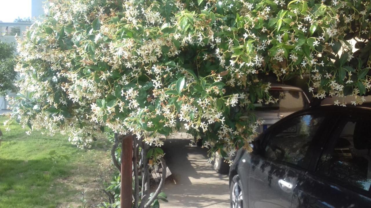 Christinas Garden Διαμέρισμα Πάτρα Εξωτερικό φωτογραφία